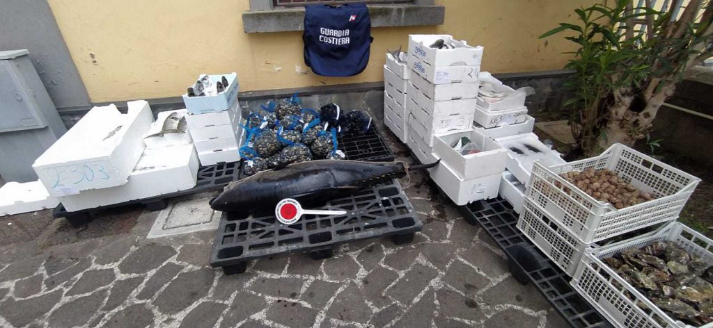 controlli centro ittico di Sorrento